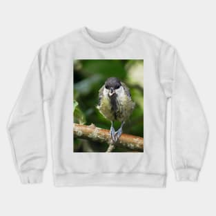 NEW  THE PANASONIC FZ 1000 PAR OKAIO CREATION Crewneck Sweatshirt